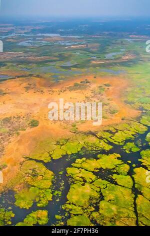 Luftaufnahme, Okavango Feuchtgebiete, Okavango Delta, UNESCO Weltkulturerbe, Ramsar Feuchtgebiet, Botswana, Afrika Stockfoto