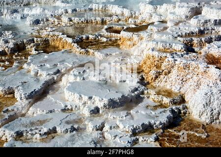 Palettenfedern. Teufel Daumen an den Mammoth Hot Springs. Yellowstone-Nationalpark. Wyoming. USA. Stockfoto