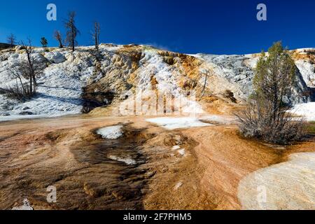 Palettenfedern. Teufel Daumen an den Mammoth Hot Springs. Yellowstone-Nationalpark. Wyoming. USA. Stockfoto