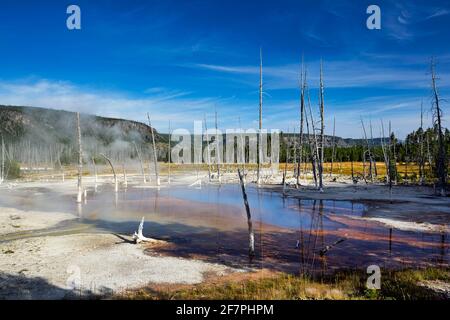 Becken Mit Schwarzem Sand. Opaleszenz-Pool im Yellowstone National Park. Wyoming. USA. Stockfoto