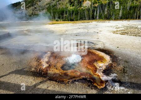 Becken Mit Schwarzem Sand. Taschentuch-Pool im Yellowstone-Nationalpark. Wyoming. USA. Stockfoto