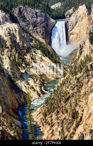 Grand Canyon Artist Point im Yellowstone National Park. Wyoming. USA. Stockfoto