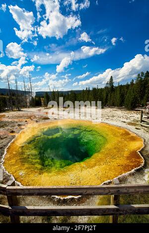 Morning Glory Pool im Yellowstone National Park. Wyoming. USA. Stockfoto