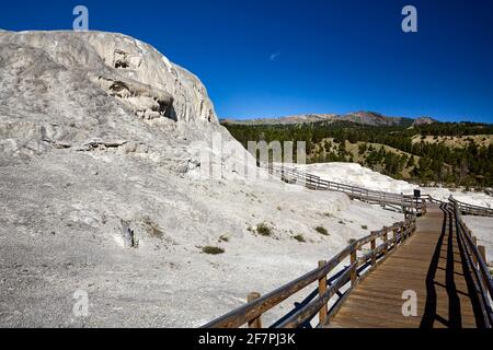 Hügel- und Jupiterterrassen an den Mammoth Hot Springs. Yellowstone-Nationalpark. Wyoming. USA. Stockfoto