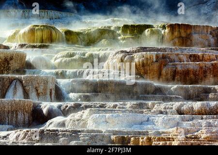 Minerva Terrasse in den Mammoth Hot Springs. Yellowstone-Nationalpark. Wyoming. USA. Stockfoto