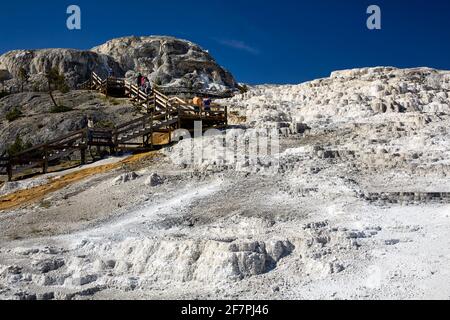 Minerva Terrasse in den Mammoth Hot Springs. Yellowstone-Nationalpark. Wyoming. USA. Stockfoto