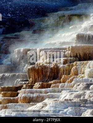 Minerva Terrasse in den Mammoth Hot Springs. Yellowstone-Nationalpark. Wyoming. USA. Stockfoto