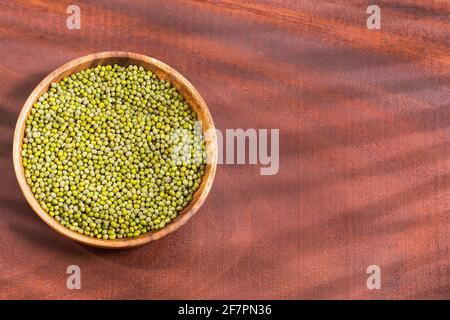 Bean Mung Sorte von Bohnen in grüner Farbe - Vigna Radiata Stockfoto