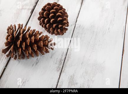 Abgewinkelte Ansicht von zwei Kiefernzapfen auf einem weiß bemalten Oberfläche Stockfoto