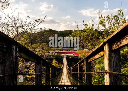 Foto der Holzbrücke in der Nähe des Harajiri-Wasserfalls im Harajiri-Nationalpark an einem sonnigen Nachmittag in Bungoono, Präfektur Oita, Japan Stockfoto