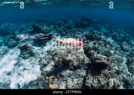 Frau taucht unter Wasser mit Schildkröte im tropischen Ozean. Schnorcheln mit einer grünen Meeresschildkröte. Stockfoto