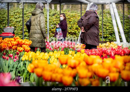 Lisse, Niederlande. 9. April 2021: De Keukenhof öffnet an diesem Wochenende täglich 5000 Personen im Rahmen der von der Regierung organisierten Testphase, um die Niederlande während der COVID-19-Sperre am 9. April 2021 zu öffnen. De Keukenhof ist einer der größten Blumengärten der Welt und liegt in der Gemeinde Lisse in den Niederlanden. Foto: Patrick van Katwijk/ Bildquelle: dpa picture Alliance/Alamy Live News Stockfoto