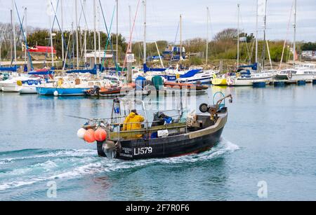 'Doodle Bug', Register LI579, ein kleines Fischerboot (Seal Islander 640C) an der Mündung des Flusses Arun in Littlehampton, West Sussex, England, Großbritannien. Stockfoto