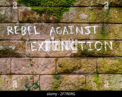 Rebel Against Extinction Graffiti bemalt auf einer Backsteinmauer in Matlock Bath in Derbyshire England im März 2021. Stockfoto