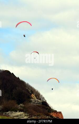 Sidmouth, Großbritannien. April 2021. UK Wetter, an einem milden und trockenen Nachmittag in Sidmouth in Devon, werden Paraglider am Himmel über Salcombe Hill gesehen. Bildquelle: Robert Timoney/Alamy Live News Stockfoto