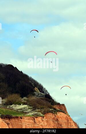 Sidmouth, Großbritannien. April 2021. UK Wetter, an einem milden und trockenen Nachmittag in Sidmouth in Devon, werden Paraglider am Himmel über Salcombe Hill gesehen. Bildquelle: Robert Timoney/Alamy Live News Stockfoto