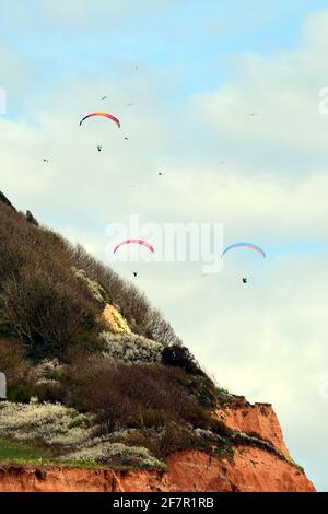 Sidmouth, Großbritannien. April 2021. UK Wetter, an einem milden und trockenen Nachmittag in Sidmouth in Devon, werden Paraglider am Himmel über Salcombe Hill gesehen. Bildquelle: Robert Timoney/Alamy Live News Stockfoto