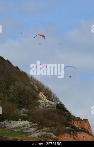 Sidmouth, Großbritannien. April 2021. UK Wetter, an einem milden und trockenen Nachmittag in Sidmouth in Devon, werden Paraglider am Himmel über Salcombe Hill gesehen. Bildquelle: Robert Timoney/Alamy Live News Stockfoto