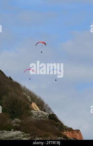 Sidmouth, Großbritannien. April 2021. UK Wetter, an einem milden und trockenen Nachmittag in Sidmouth in Devon, werden Paraglider am Himmel über Salcombe Hill gesehen. Bildquelle: Robert Timoney/Alamy Live News Stockfoto