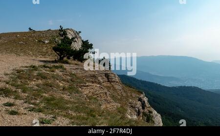 Berglandschaft auf dem Plateau der Jalta Yayla in der Nähe des Ai-Petri-Gipfels. Stockfoto