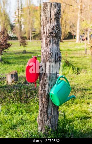 Pablic Gießkannen im Park , Bewässerung von Bäumen Stockfoto