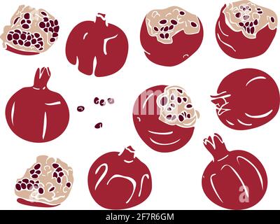 Vector Set mit Granatapfelfrüchten. Design von buntem Granatapfel. Stock Vektor