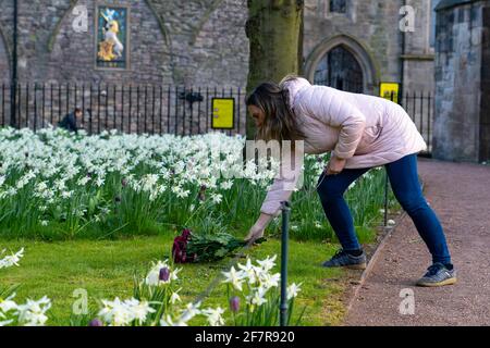 Edinburgh, Schottland, Großbritannien. 9. April 2021. Heute fliegen in Edinburgh Flaggen am Halbmast, als Prinz Philip, der Herzog von Edinburgh, starb. PIC; Frau legt Blumenschmuck im Garten neben dem Palast von Holyroodhouse. Iain Masterton/Alamy Live News Stockfoto