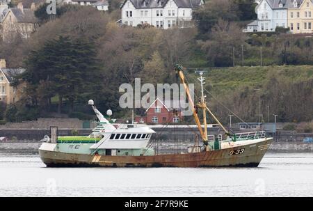 Cobh, Cork, Irland. April 2021. Die in Belgien registrierte Trawlerin Marbi führt an den farbenfrohen Gebäuden an der Strandpromenade der historischen Stadt Cobh, Co. Cork vorbei, wo sie ihren Fang abladen wird. - Credit; David Creedon / Alamy Live News Stockfoto