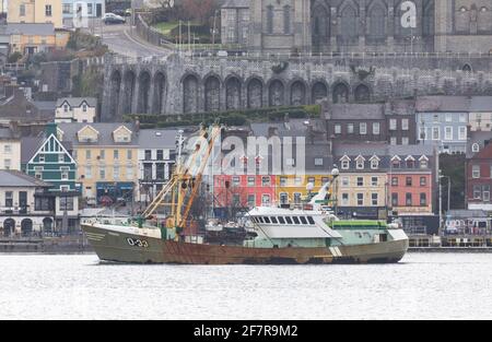 Cobh, Cork, Irland. April 2021. Die in Belgien registrierte Trawlerin Marbi führt an den farbenfrohen Gebäuden an der Strandpromenade der historischen Stadt Cobh, Co. Cork vorbei, wo sie ihren Fang abladen wird. - Credit; David Creedon / Alamy Live News Stockfoto