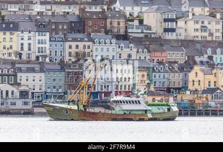 Cobh, Cork, Irland. April 2021. Die in Belgien registrierte Trawlerin Marbi führt an den farbenfrohen Gebäuden an der Strandpromenade der historischen Stadt Cobh, Co. Cork vorbei, wo sie ihren Fang abladen wird. - Credit; David Creedon / Alamy Live News Stockfoto