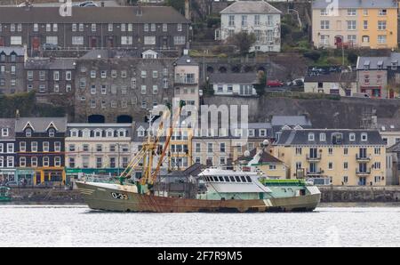 Cobh, Cork, Irland. April 2021. Die in Belgien registrierte Trawlerin Marbi führt an den farbenfrohen Gebäuden an der Strandpromenade der historischen Stadt Cobh, Co. Cork vorbei, wo sie ihren Fang abladen wird. - Credit; David Creedon / Alamy Live News Stockfoto