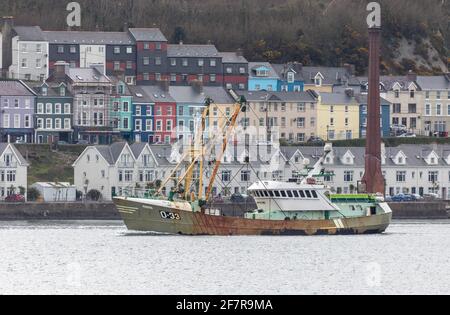 Cobh, Cork, Irland. April 2021. Die in Belgien registrierte Trawlerin Marbi führt an den farbenfrohen Gebäuden an der Strandpromenade der historischen Stadt Cobh, Co. Cork vorbei, wo sie ihren Fang abladen wird. - Credit; David Creedon / Alamy Live News Stockfoto