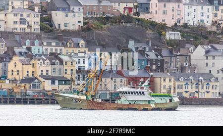 Cobh, Cork, Irland. April 2021. Die in Belgien registrierte Trawlerin Marbi führt an den farbenfrohen Gebäuden an der Strandpromenade der historischen Stadt Cobh, Co. Cork vorbei, wo sie ihren Fang abladen wird. - Credit; David Creedon / Alamy Live News Stockfoto