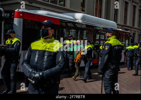 Während der Demonstration wird ein XR-Aktivist von Polizisten verhaftet.um seine Kampagne zum Frühjahrsaufstand zu beenden, organisierte die Klimagruppe Extinction Rebellion eine zivile Ungehorsam-Aktion, um die Regierung wissen zu lassen, dass sie die Klima- und Umweltkrise nicht mehr ignorieren kann. Die ersten Aktivisten versuchten, in den Binnenhof einzudringen, wo sich das Repräsentantenhaus trifft und der Premierminister arbeitet, aber die Polizei konnte das verhindern. Danach blockierten sie den Korte Vijverberg, eine Straße, die zum Binnenhof führt. Das Tor zum Binnenhof wurde anschließend durch den Pol geschlossen Stockfoto