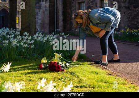 Edinburgh, Schottland, Großbritannien. 9. April 2021. Heute fliegen in Edinburgh Flaggen am Halbmast, als Prinz Philip, der Herzog von Edinburgh, starb. PIC; Frau legt Blumenschmuck im Garten neben dem Palast von Holyroodhouse. Iain Masterton/Alamy Live News Stockfoto