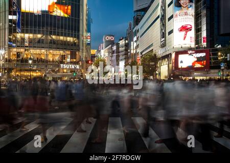 Horizontale Ansicht des Fußgängertrubels in Shibuya Crossing in der Abenddämmerung, Shibuya, Tokio, Japan Stockfoto