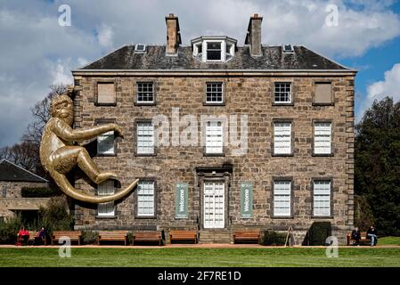 Der 45 Meter lange Golden Monkey der australischen Umweltkünstlerin Lisa Roet klettert die Wand des Inverleith House im Royal Botanic Garden Edinburgh Scotland, Großbritannien. Stockfoto