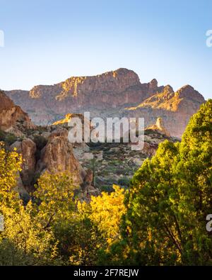 Blick bei Sonnenaufgang auf die Canyons, die das Boyce Thompson Arboretum in Superior, Arizona umgeben. Stockfoto