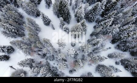 Luftaufnahme des verschneiten Umatilla National Forest in Tollgate, Oregon, USA Stockfoto