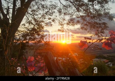 Sonnenuntergang durch die Blumen, was einen schönen Abend markiert. Stockfoto