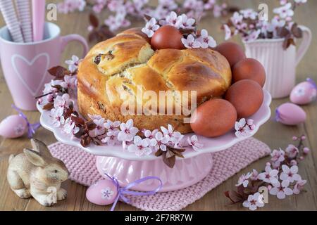 osterbäckerei Hefe Zopf Kuchen, bunte Eier und Kirschblüten Stockfoto