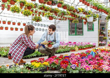 Zwei lächelnde Unternehmer hocken im Gewächshaus und arrangieren Blumen. Stockfoto