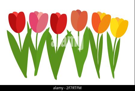 Einfache Tulpenblume auf weißem Hintergrund. Vektorgrafik Stock Vektor