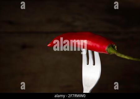 dedo de moça, brasilianischer Chili Stockfoto