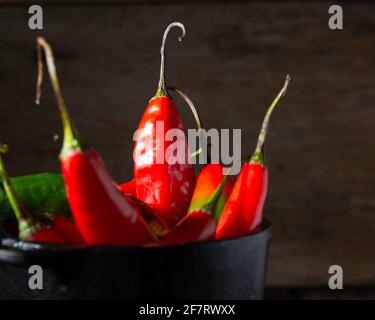 dedo de moça, brasilianischer Chili Stockfoto