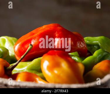 pimenta de cheiro, Chili Stockfoto