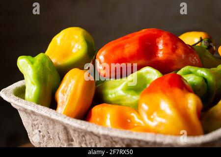 pimenta de cheiro, Chili Stockfoto