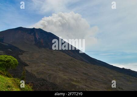 Pacaya ist ein aktiver komplexer Vulkan in Guatemala Stockfoto