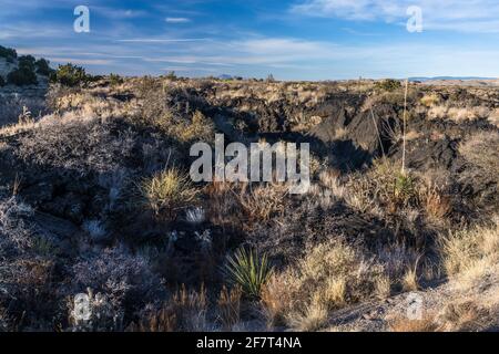 Eingestürzte Gasblasen in der heißen Lava schufen Löcher in der Lavaoberfläche im Valley of Fires Recreation Area, New Mexico. Stockfoto