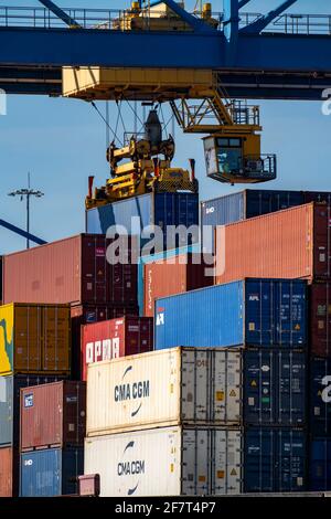 Containerschiff im Hafenbecken des Logports, Portalkrane im Containerumschlagzentrum, trimodaler Containerterminal, im Logport Stockfoto